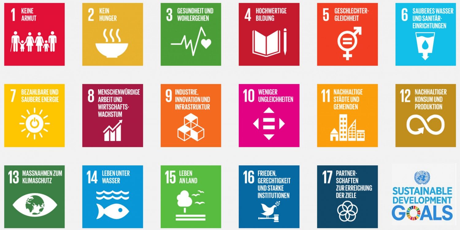 SDGS komplett